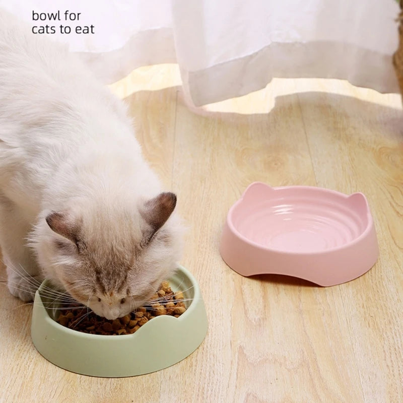 Meow meal Pet Food Bowl