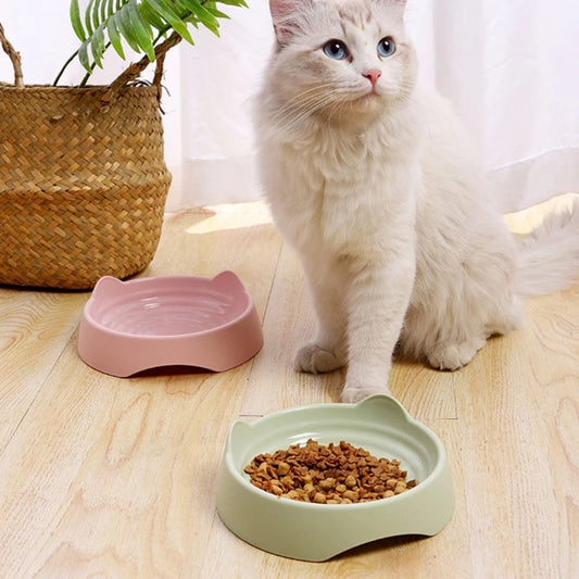 Meow meal Pet Food Bowl